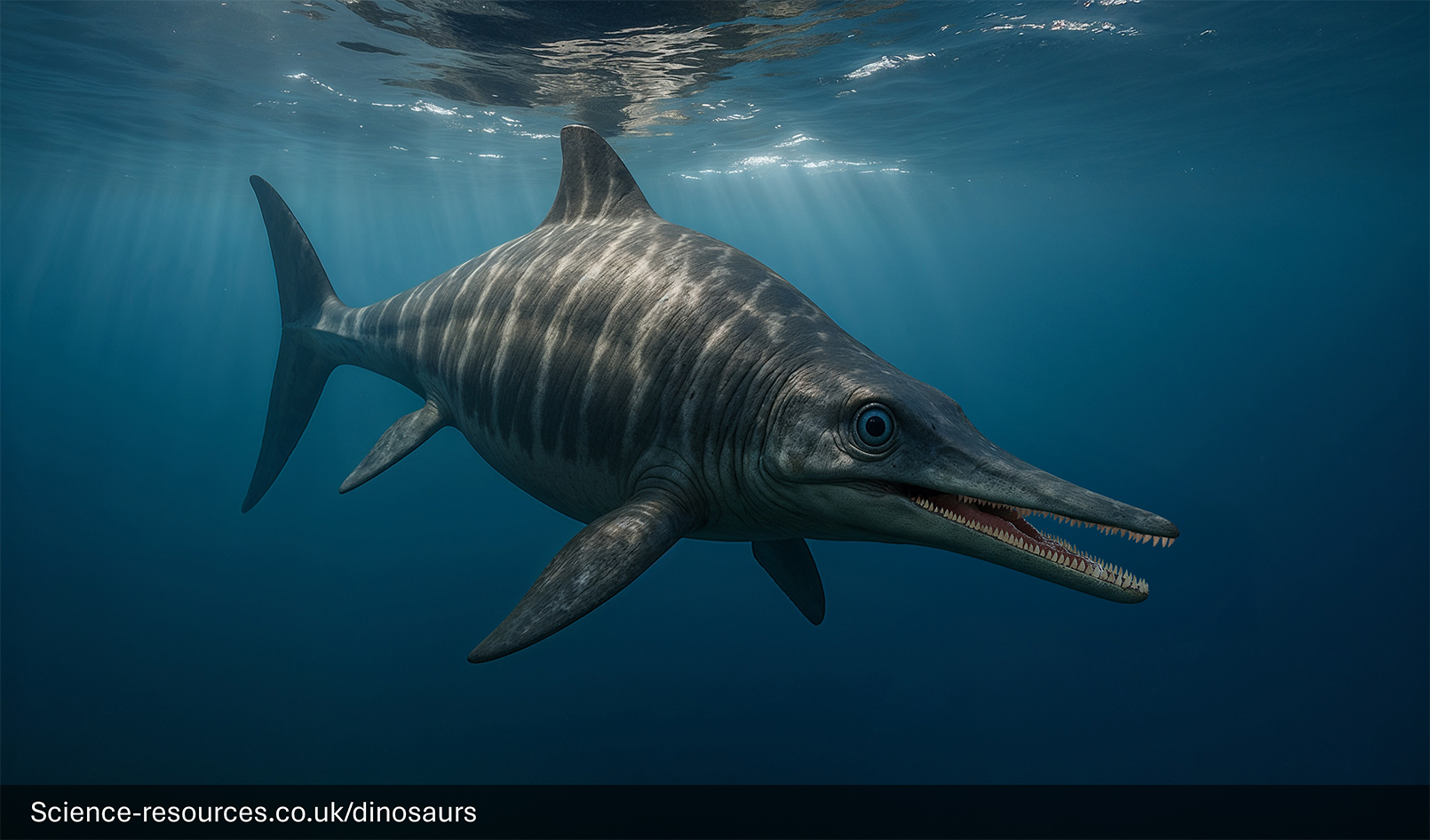 Ichthyosaurus-Dolphin-Like-Marine-Reptile A photorealistic computer-generated image of a prehistoric marine reptile, an Ichthyosaurus, swimming just below the surface of the ocean. The creature has a sleek, dolphin-like body with a prominent dorsal fin, large tail fluke, and a long, narrow snout with many sharp teeth. Its skin is patterned with dark grey stripes over a lighter grey base. Bright rays of sunlight penetrate the water from the surface above.