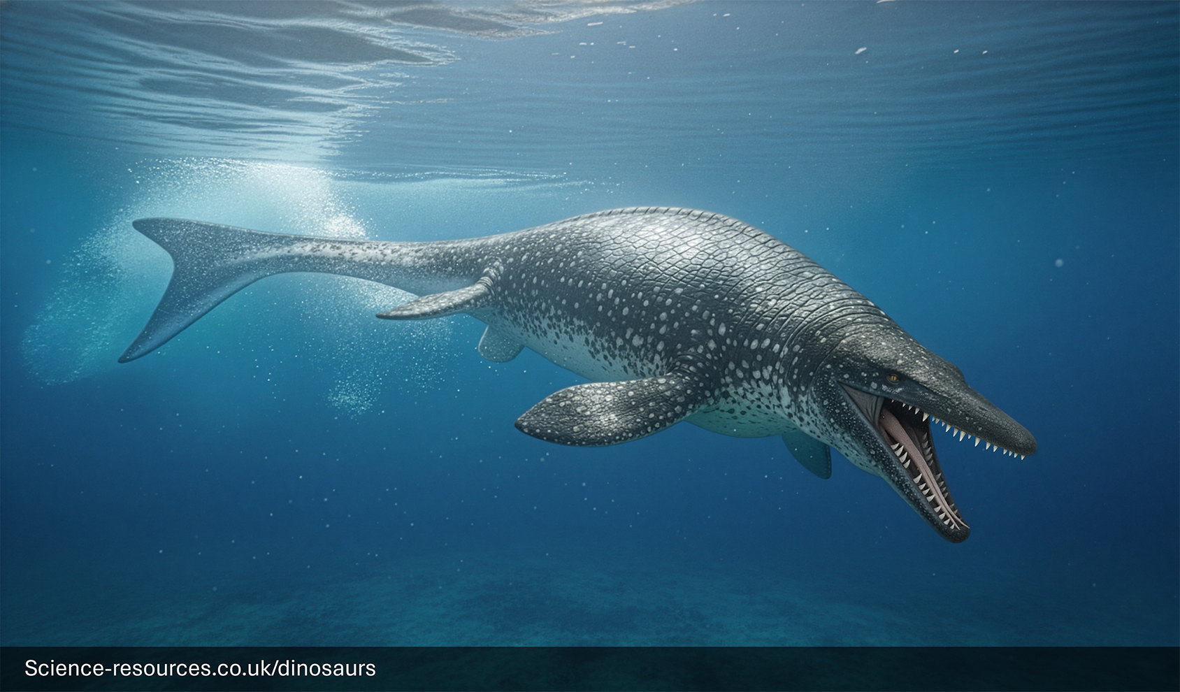 Mosasaurus-Giant-Marine-Reptile-Ocean-Surface A menacing, photorealistic computer-generated image of a Mosasaurus swimming just below the ocean's surface. The giant marine reptile has a textured, scaly body that is dark blue-gray on top and pale white underneath. Its mouth is wide open, revealing rows of long, dagger-like teeth. Bright rays of sunlight stream down from the rippling water surface onto the creature and the dark seabed below.