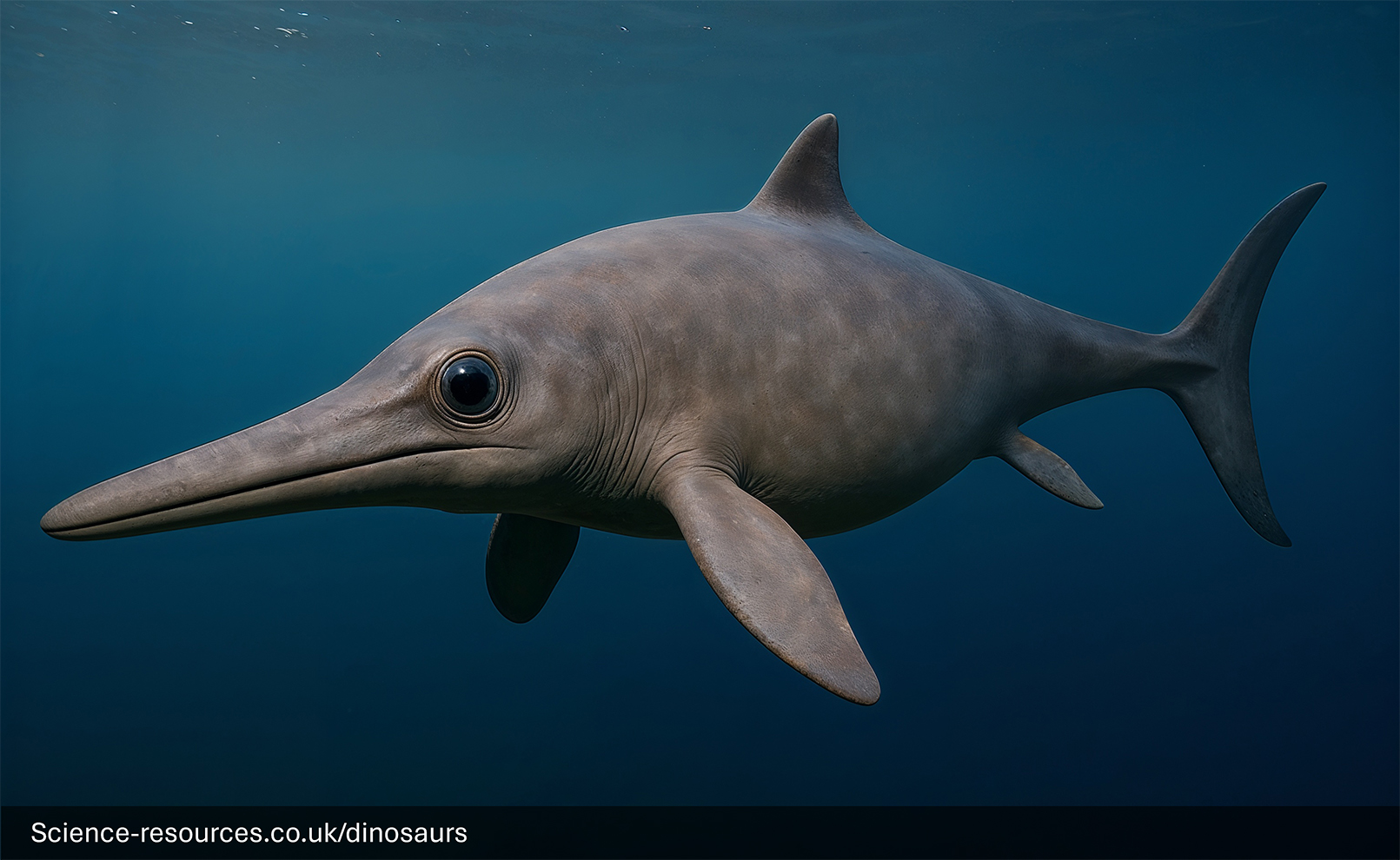 Ophthalmosaurus-Dolphin-Like-Marine-Reptile A photorealistic computer-generated image of a prehistoric marine reptile, a Ophthalmosaurus, swimming in a prehistoric ocean. The creature has a sleek, dolphin-like body with a prominent dorsal fin, large tail fluke, and a long, narrow snout. Its skin is patterned with dark grey stripes over a lighter grey base.