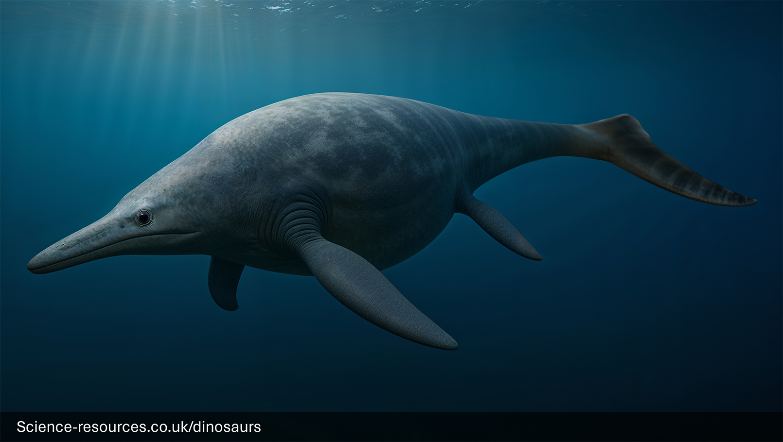 Shonisaurus-Dolphin-Like-Marine-Reptile A photorealistic computer-generated image of a prehistoric marine reptile, a Shonisaurus, swimming in a prehistoric ocean. The creature has a sleek, dolphin-like body with a prominent dorsal fin, large tail fluke, and a long, narrow snout. Its skin is patterned with dark grey stripes over a lighter grey base. Bright rays of sunlight penetrate the water from the surface above.