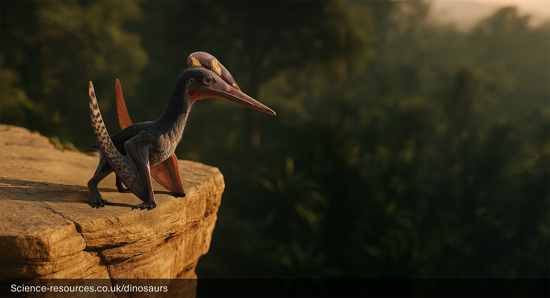 Pterodactylus-Pterosaur-Cliff-Jungle-Sunset A photorealistic computer-generated image of a Pterodactylus perched on the edge of a sunlit, rocky cliff face. The small, dark-bodied flying reptile has a long, pointed beak, large eyes, and a small, distinctive yellow and purple cranial crest. It is looking out over a vast, hazy, and dense green prehistoric jungle or forest that fills the background.