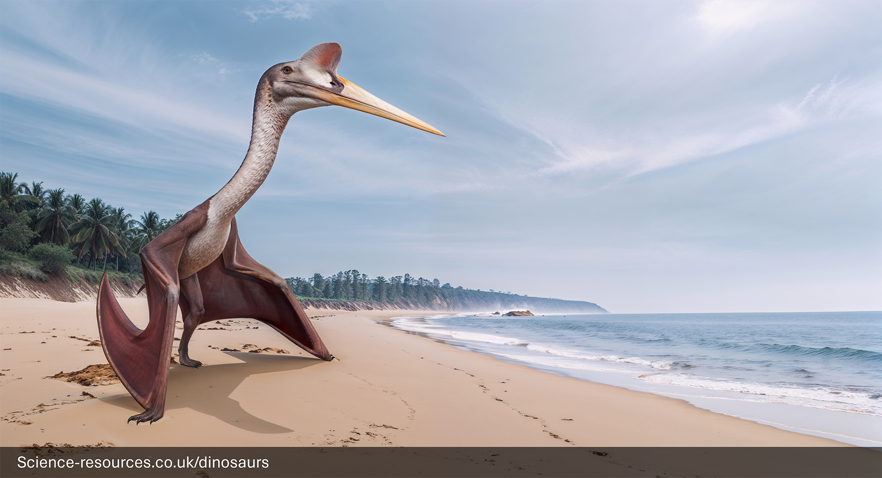 Quetzalcoatlus-Giant-Pterosaur-Tropical-Beach A photorealistic computer-generated image of a massive Quetzalcoatlus, one of the largest flying animals, standing on a sandy tropical beach. The pterosaur has an extremely long, white neck, a long yellow beak, and a red-tipped cranial crest. Its large, reddish-brown membranous wings are folded. The background shows a calm ocean, gentle waves, and a line of dense palm trees along the distant coast under a bright, partly cloudy sky.